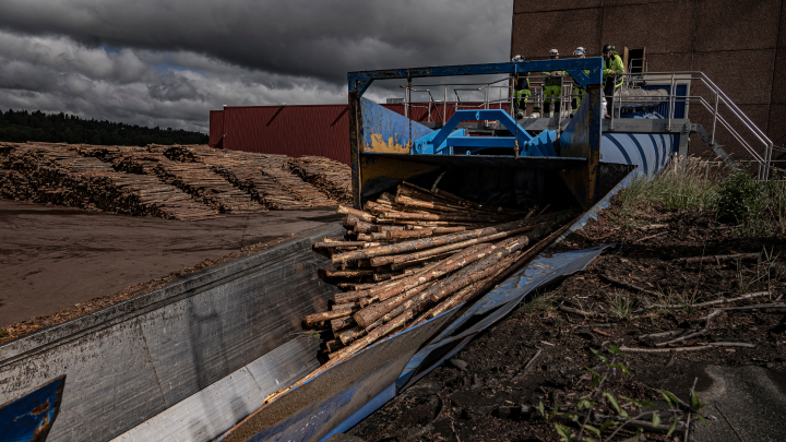 Toras de madeira passando por um transportador de corrente em uma fábrica de papel e celulose, com o Hardox® HiAce nas chapas de aço.