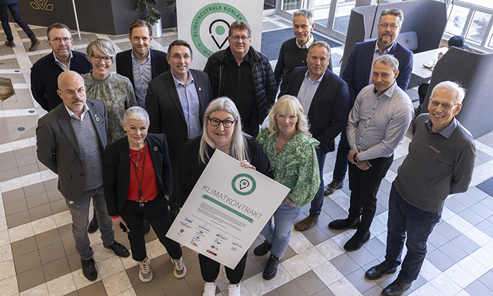 viable cities grupp