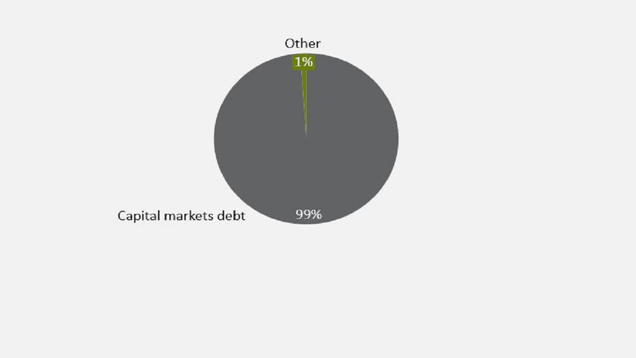Debt structure on (at Mar 31, 2023)