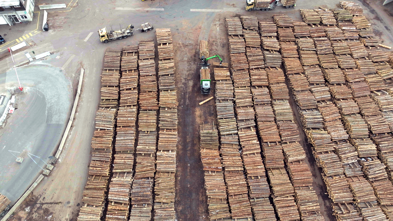 Wooden logs