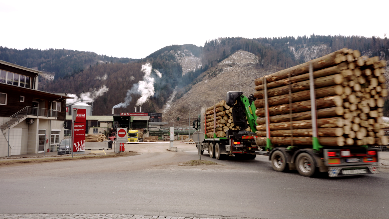 Truck loaded with wooden trunks