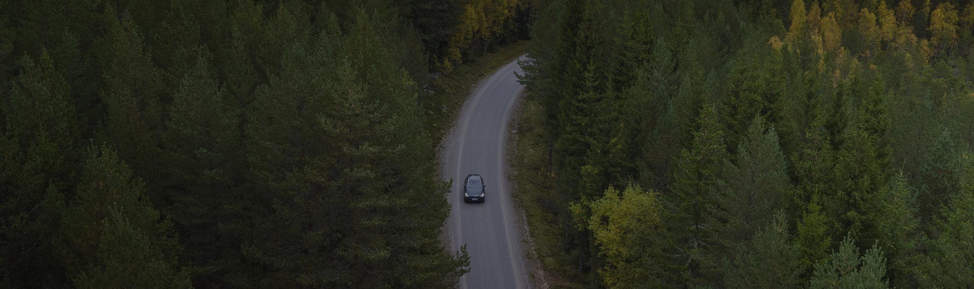 Bil som kör på en väg i skogen