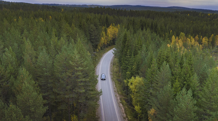 Bil som kör på en väg i skogen