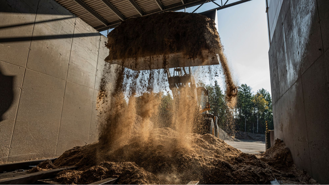 Biomassa de lascas de madeira molhada sendo despejada em uma plataforma de carregamento na usina Trosa Energi.