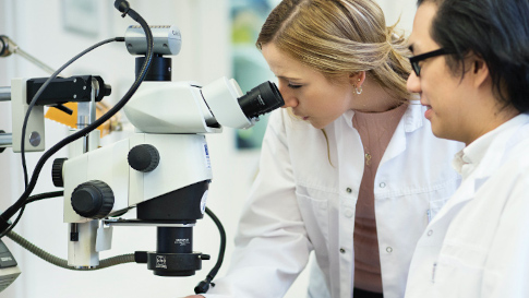 People looking at tool steel through a microscope